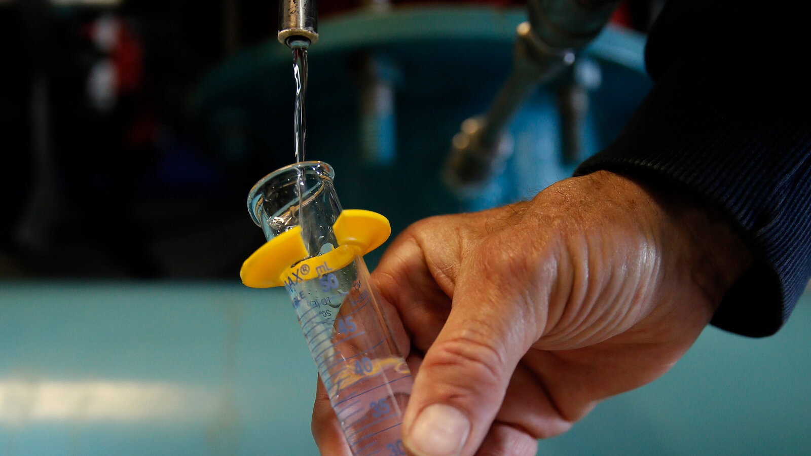 Fluoride Exposure and Children’s IQ: A Concerning Link Uncovered
